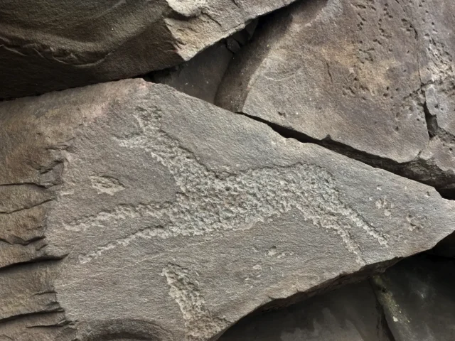 Петроглиф на каменной плите в природно-историческом комплексе Сундуки
